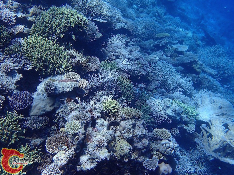 PA270075.JPG