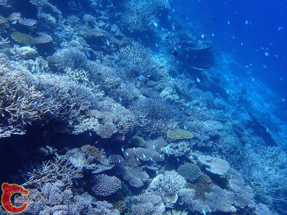 PA270077.JPG