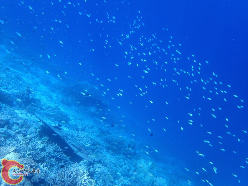 PA270079.JPG