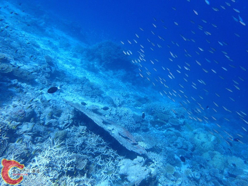 PA270080.JPG
