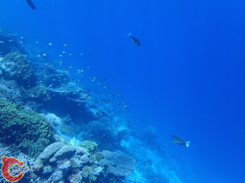 PA270097.JPG