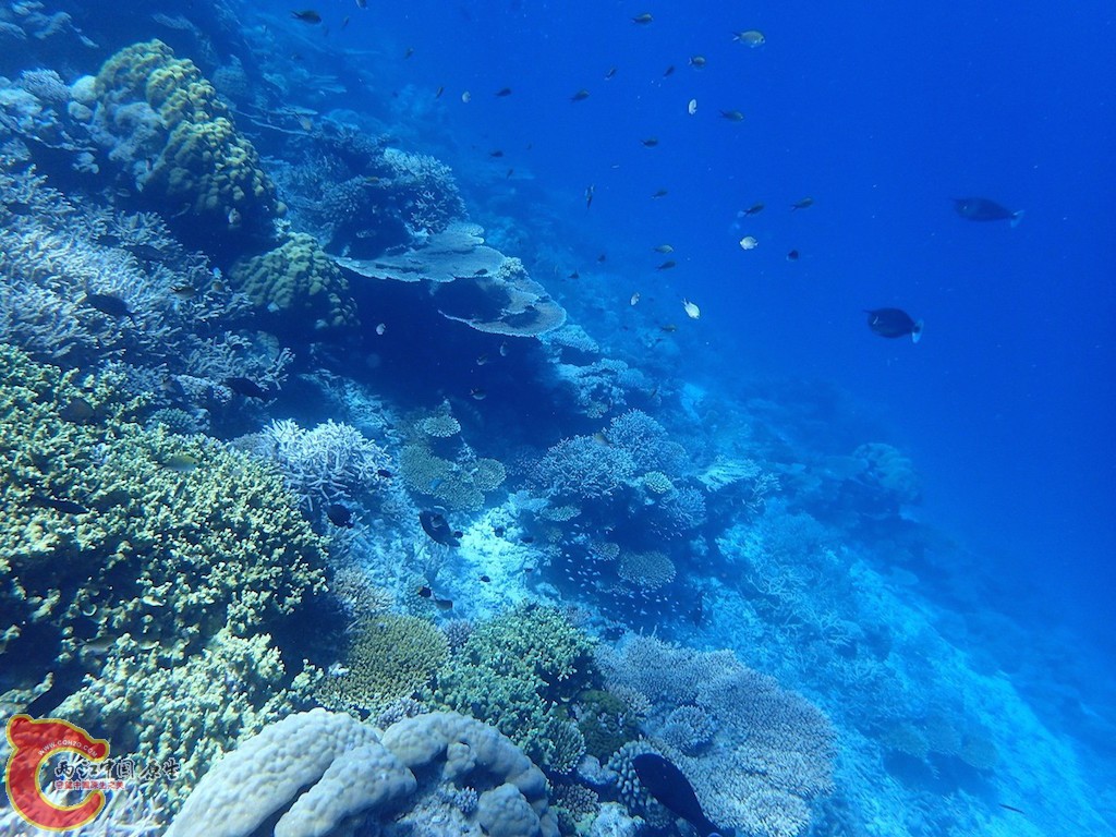 PA270100.JPG