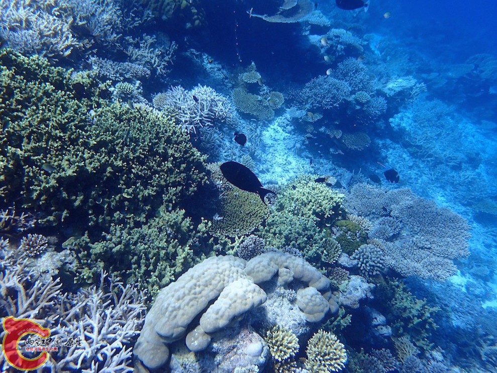 PA270102.JPG