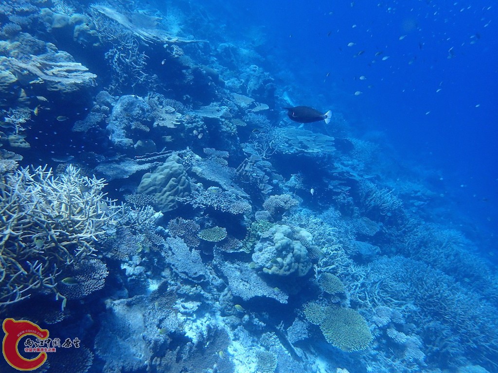 PA270112.JPG