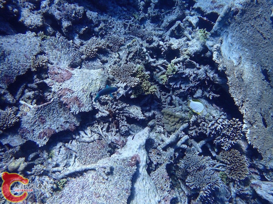 PA270121.JPG