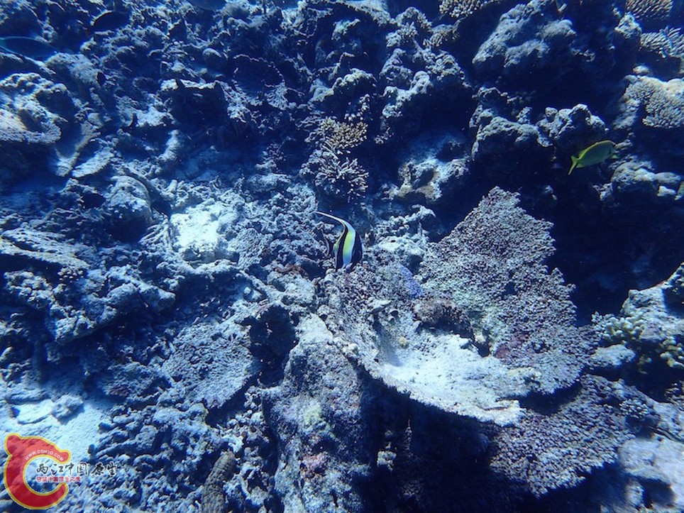 PA270130.JPG