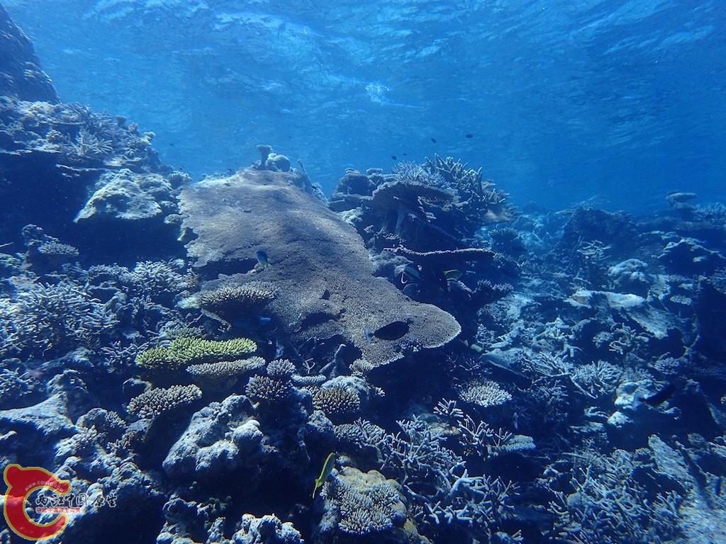 PA270131.JPG
