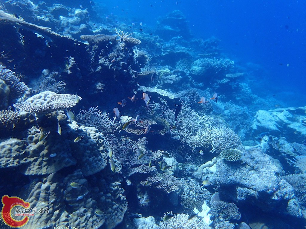 PA270133.JPG