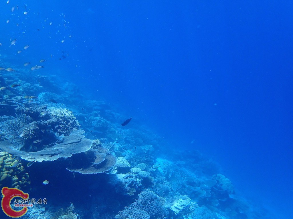 PA270104.JPG