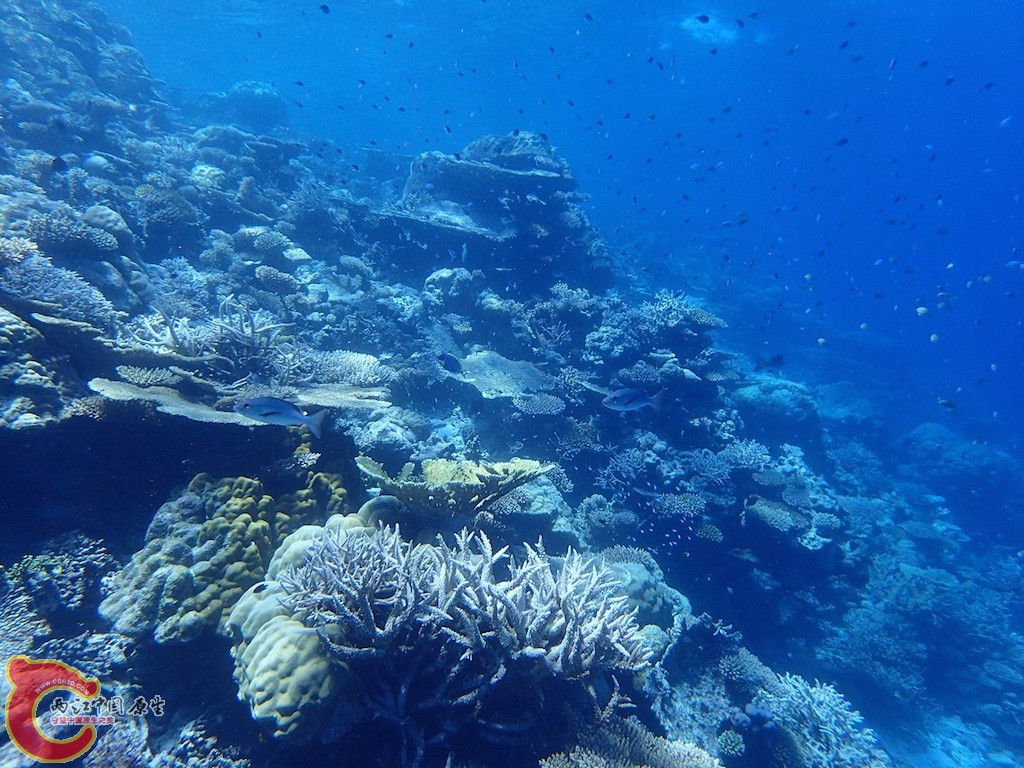 PA270140.JPG