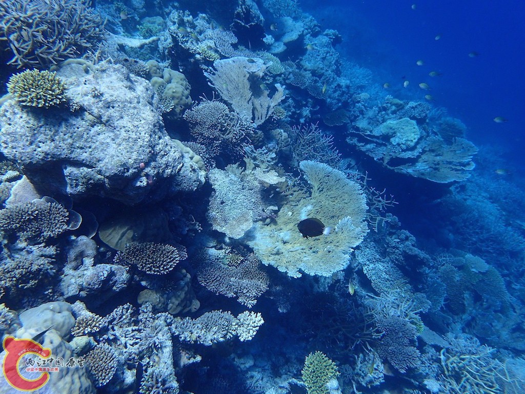 PA270136.JPG
