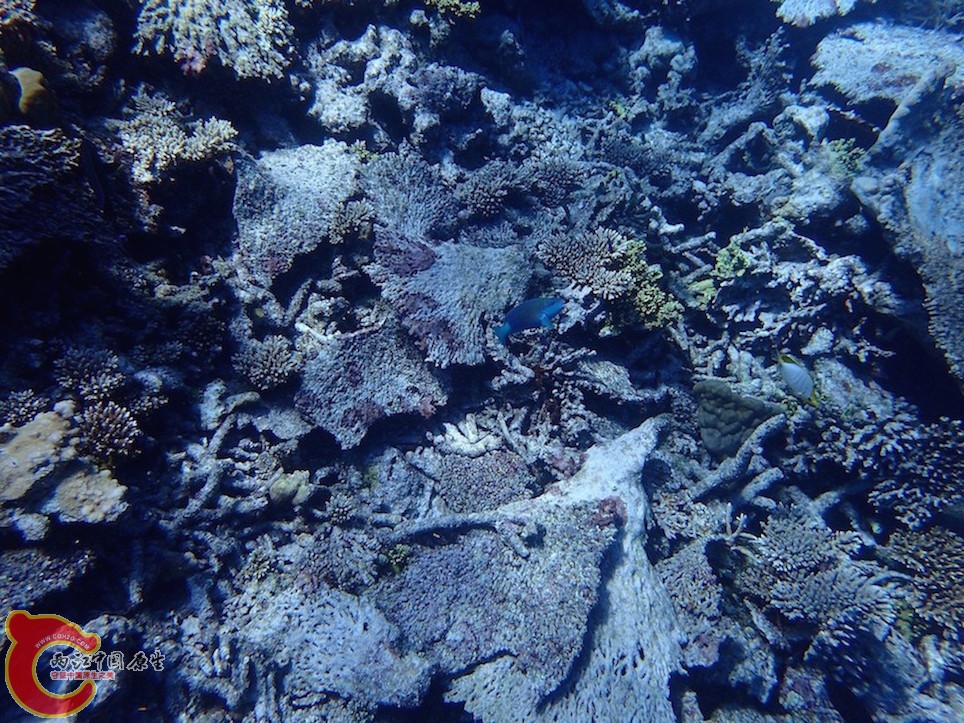 PA270120.JPG