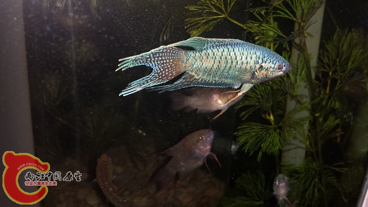 20150226_102019.jpg