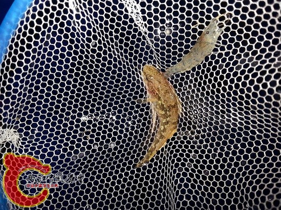 20150225_213032.jpg