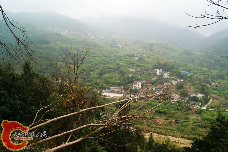 03.jpg