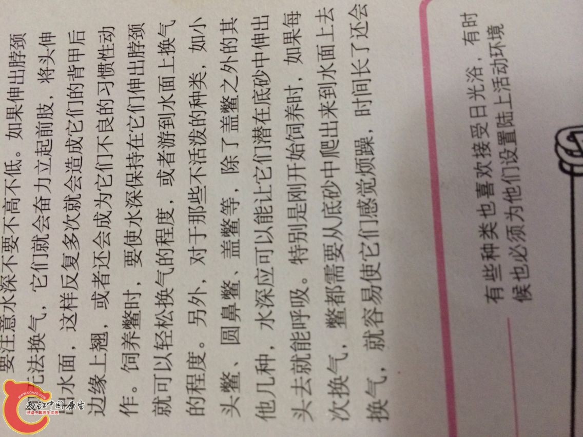书5.jpg