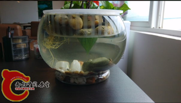 QQ图片20150303102537.png