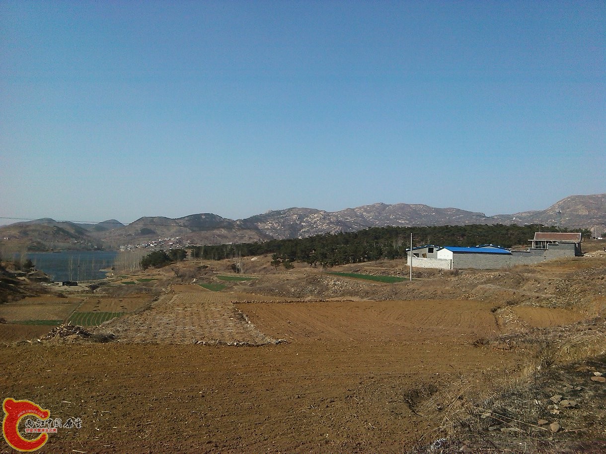 YP20150303144156.jpeg