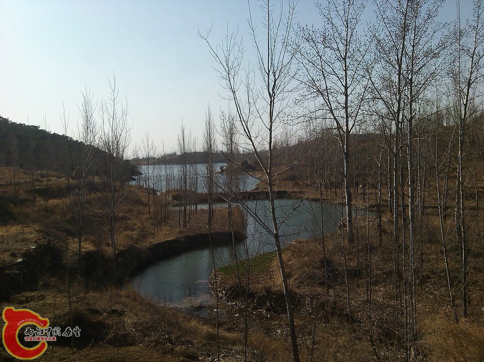 YP20150303144900.jpeg