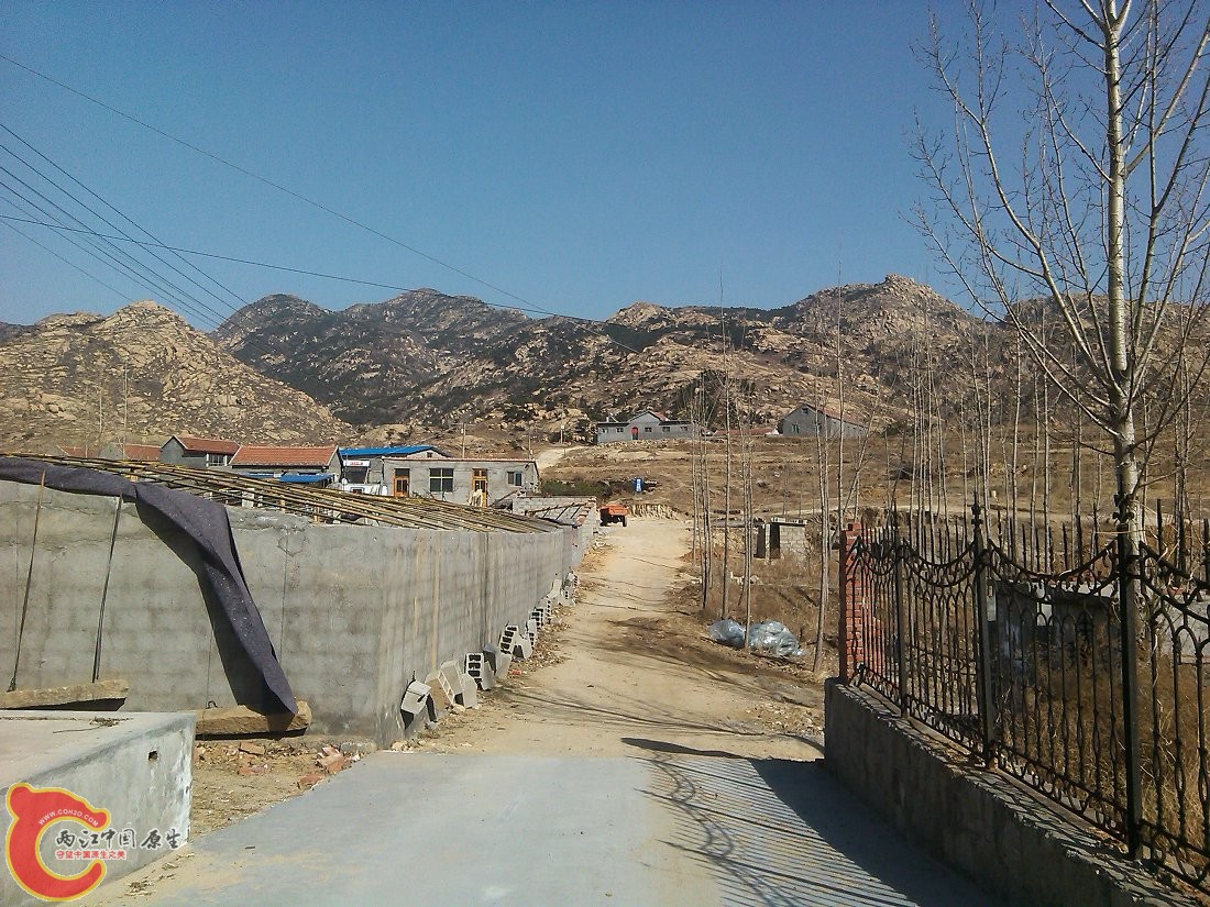 YP20150303145114.jpeg