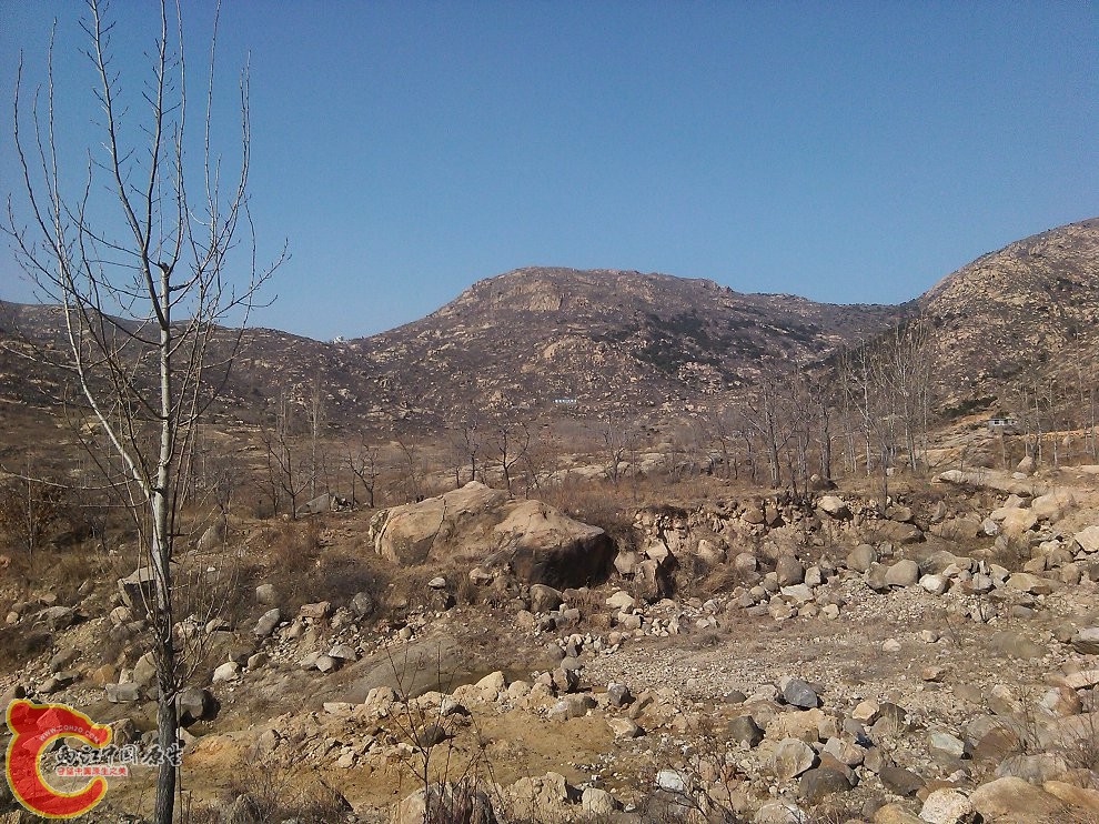 YP20150303145516.jpeg
