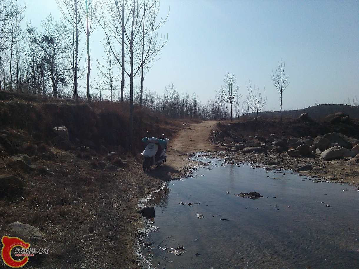 YP20150303145637.jpeg