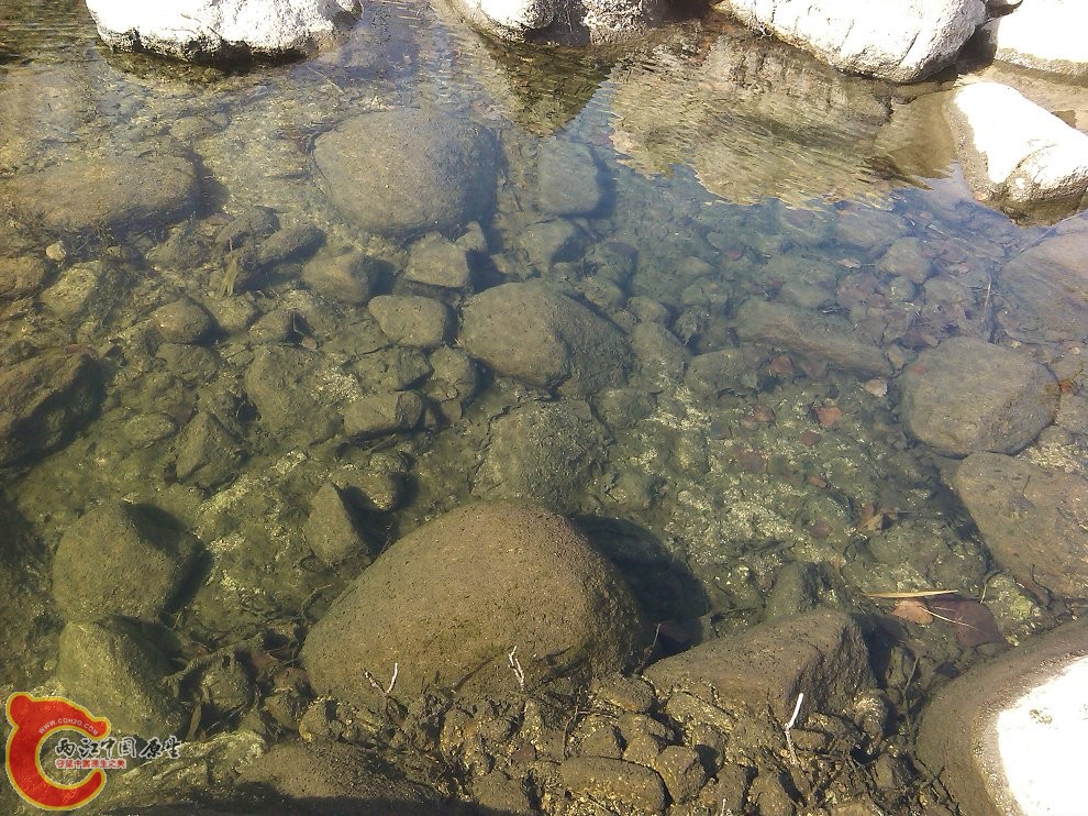 YP20150303151747.jpeg