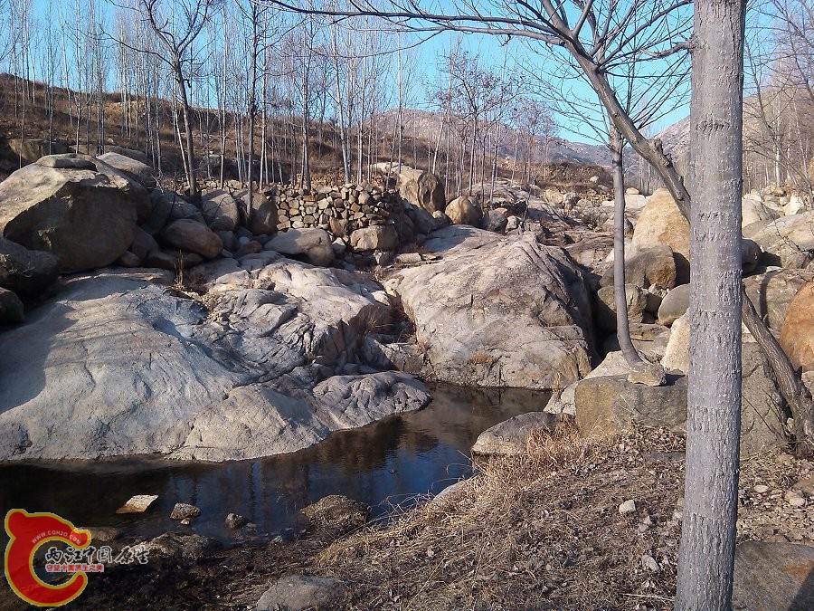 YP20150303162734.jpeg