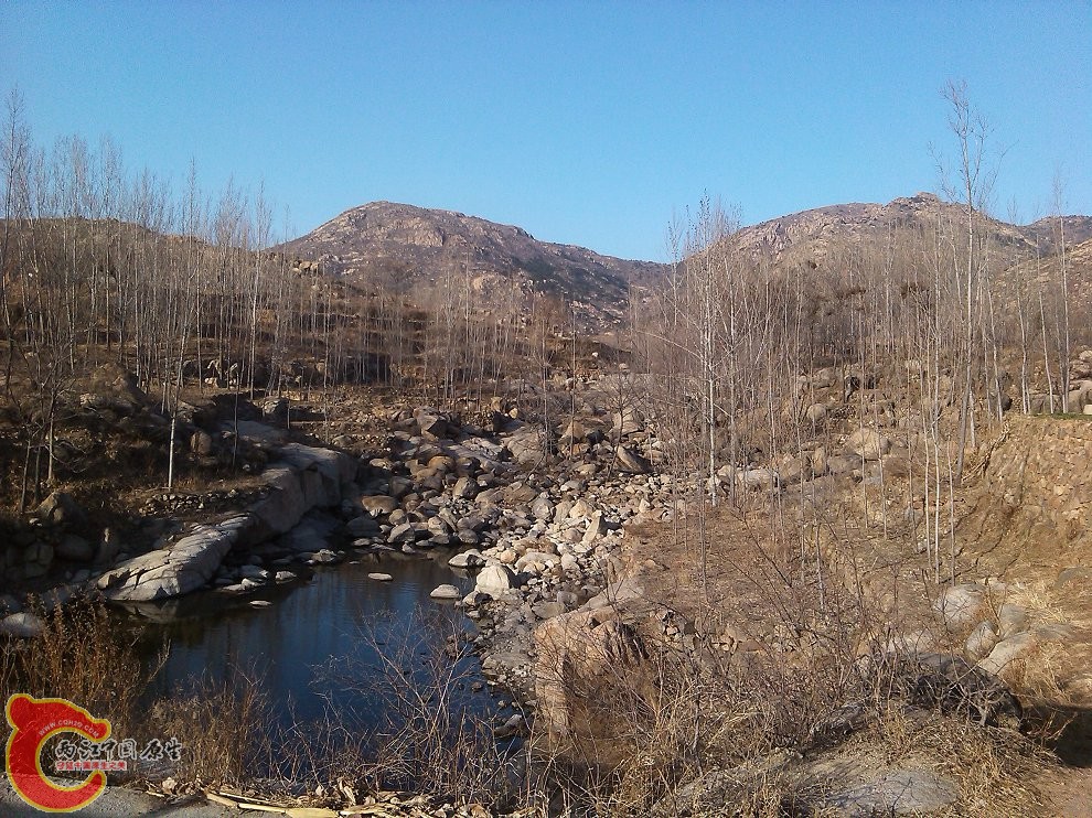 YP20150303163536.jpeg