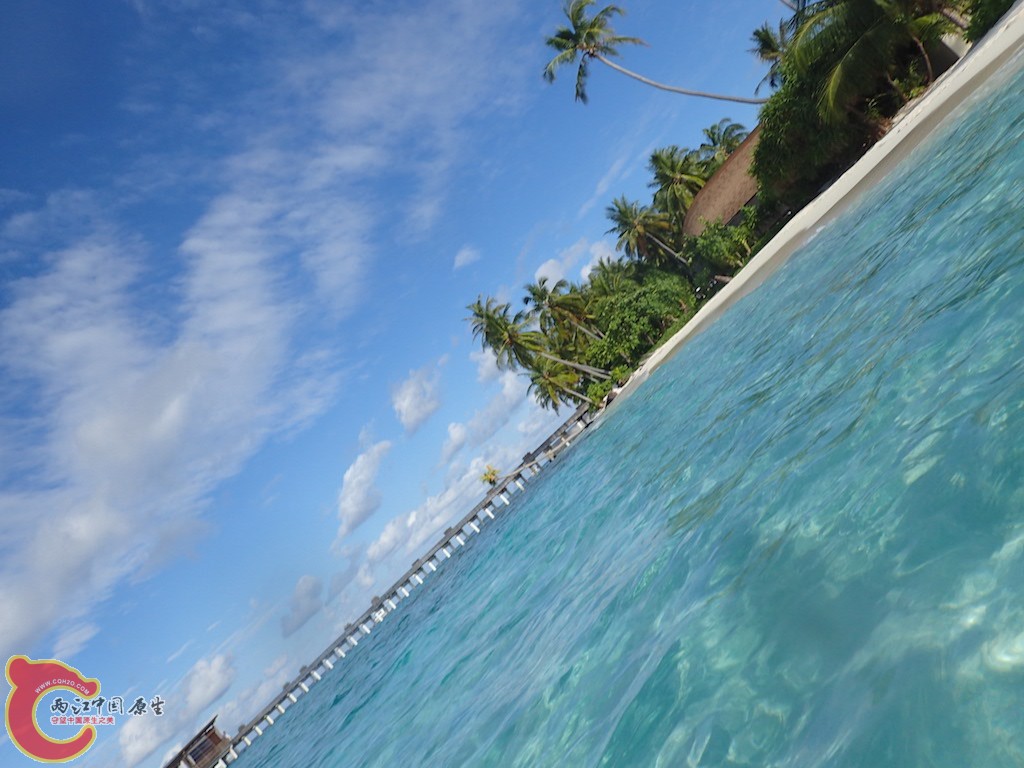 PA270214.JPG