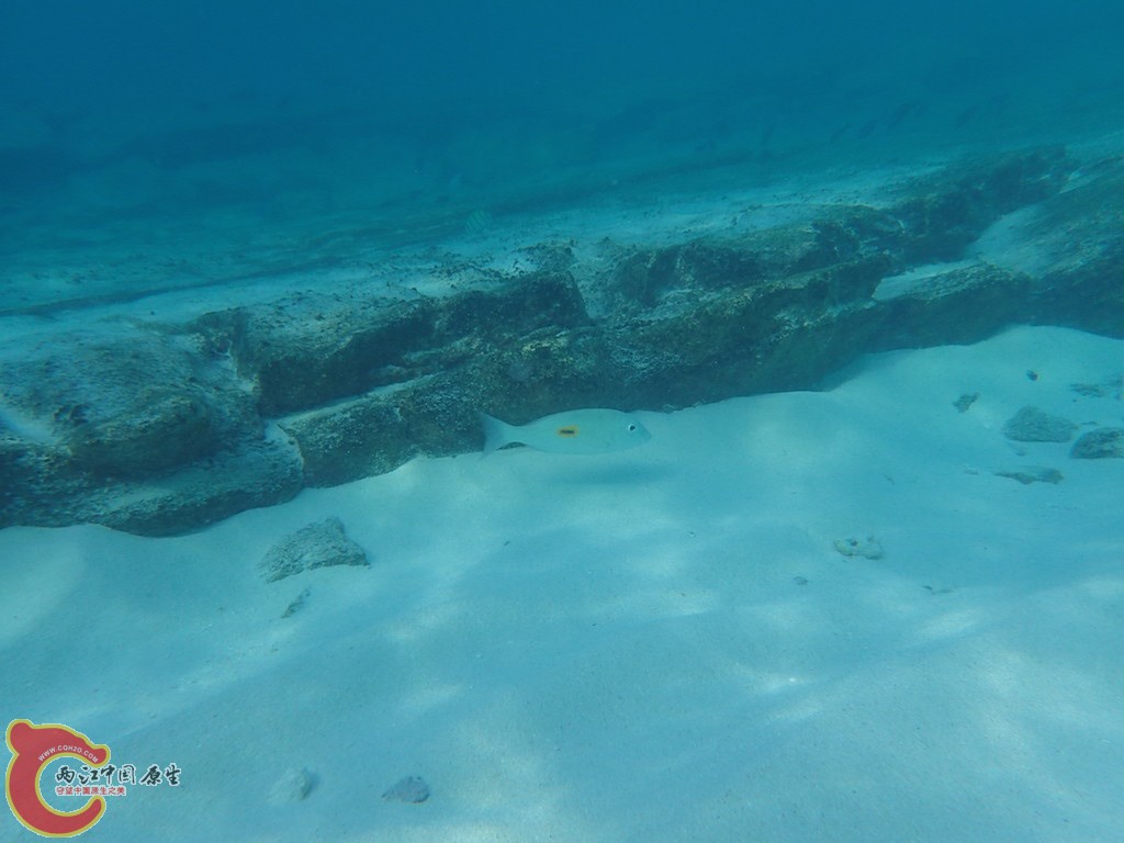 PA270248.JPG