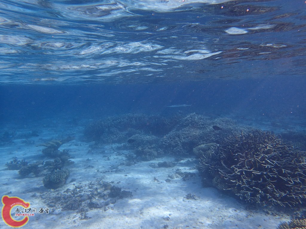 PA270304.JPG