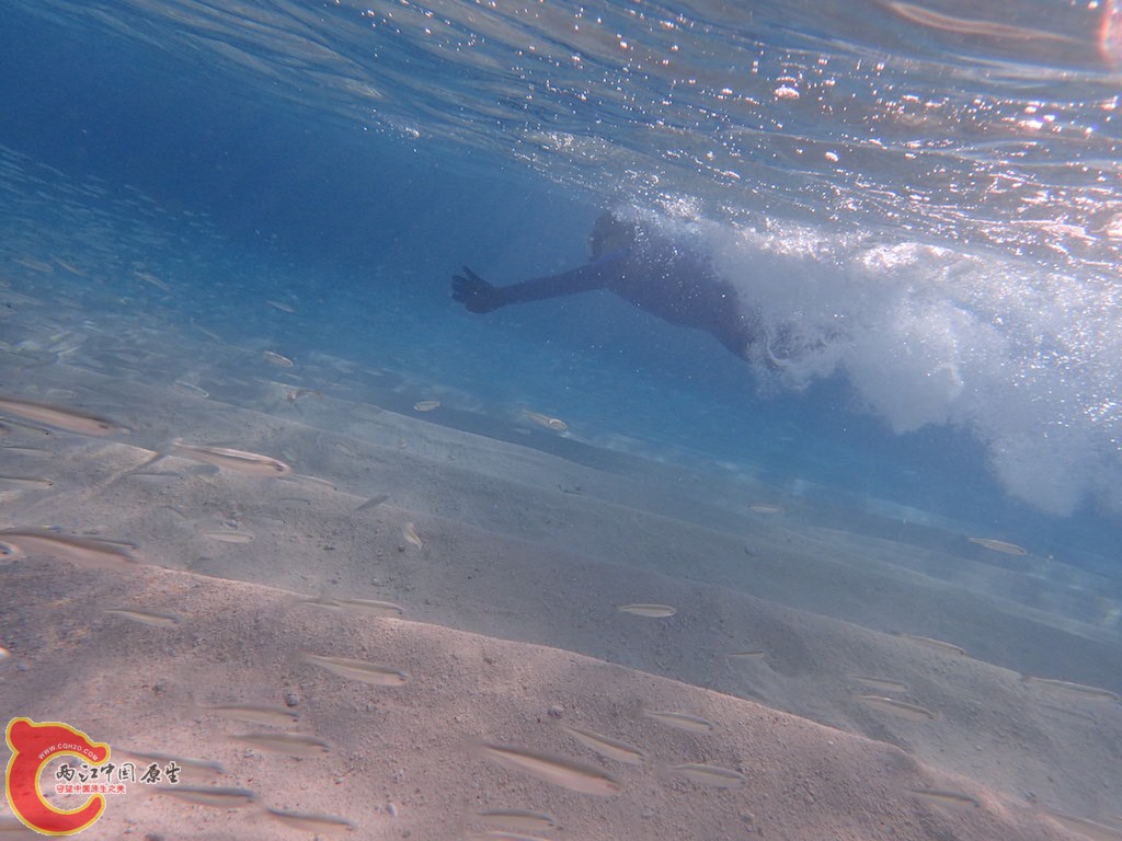 PA270365.JPG