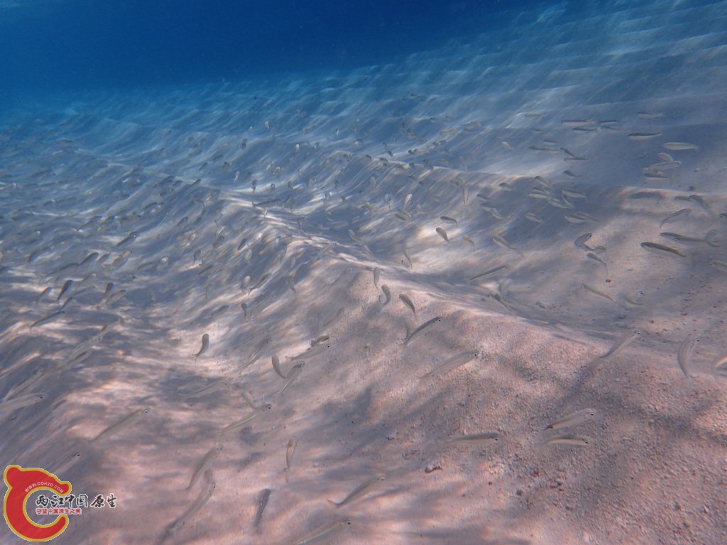 PA270389.JPG