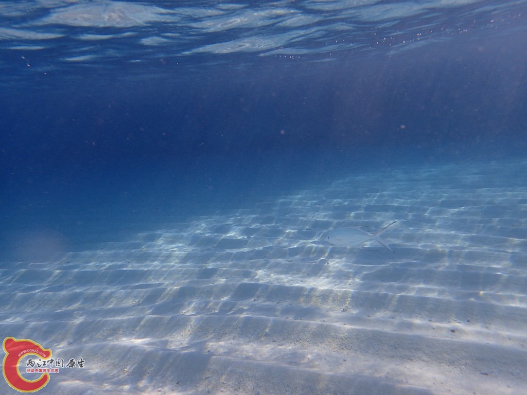 PA270398.JPG