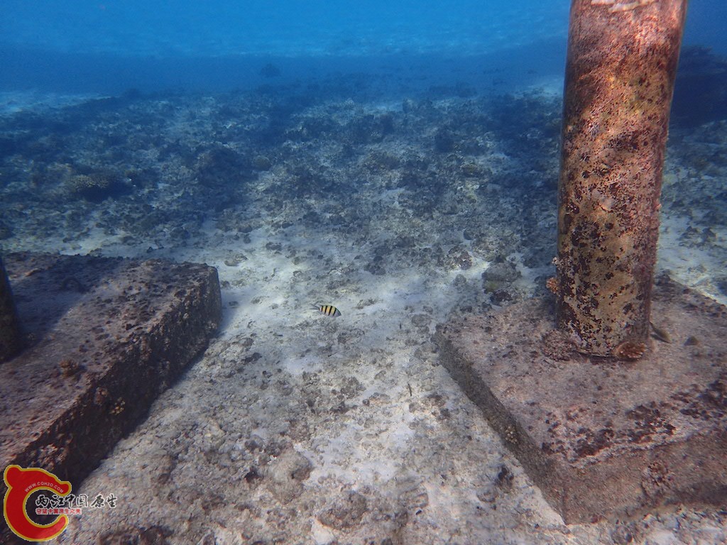 PA270429.JPG