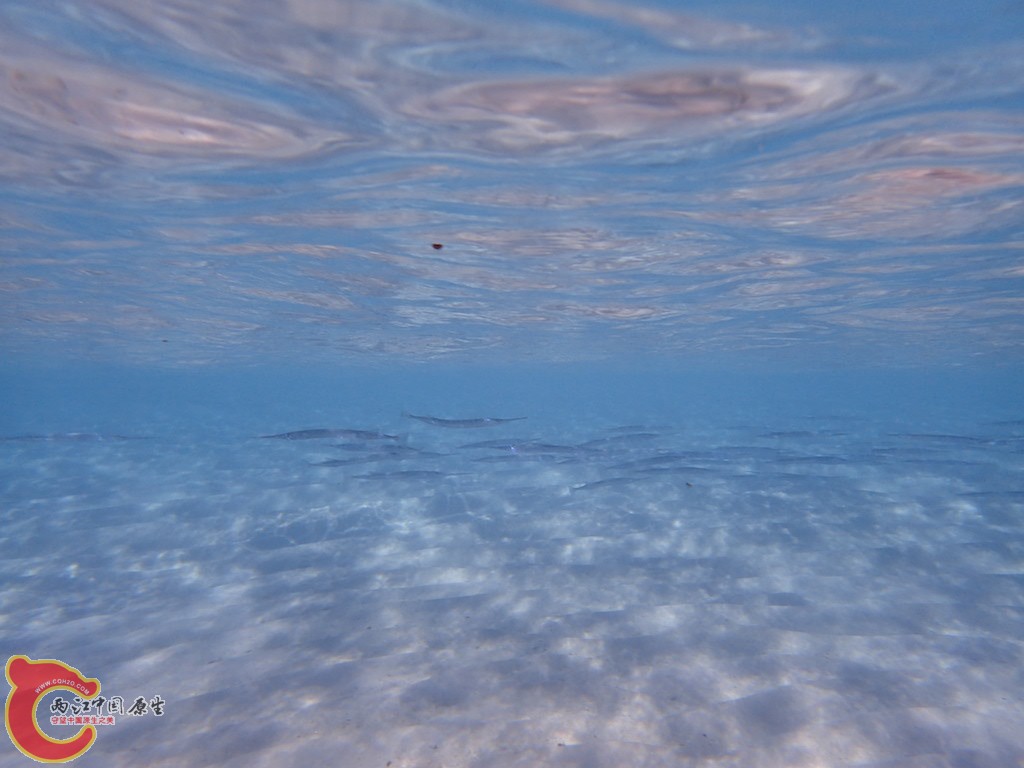 PA270345.JPG