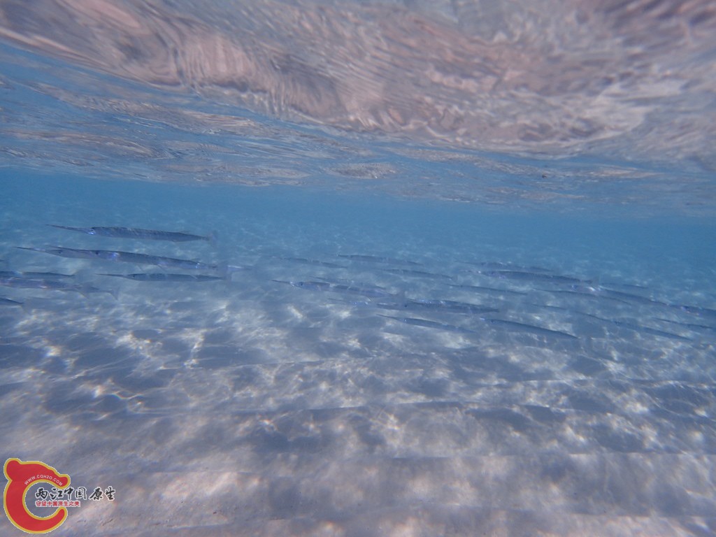 PA270353.JPG