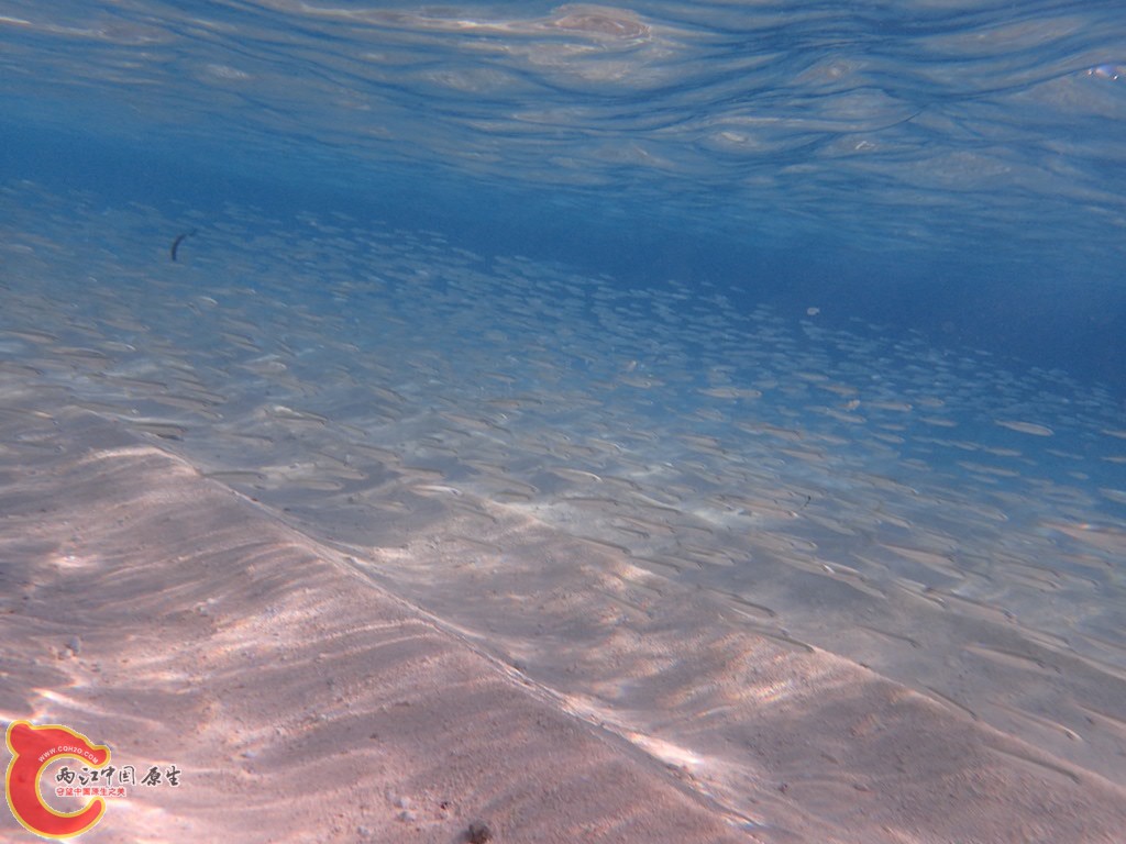 PA270367.JPG