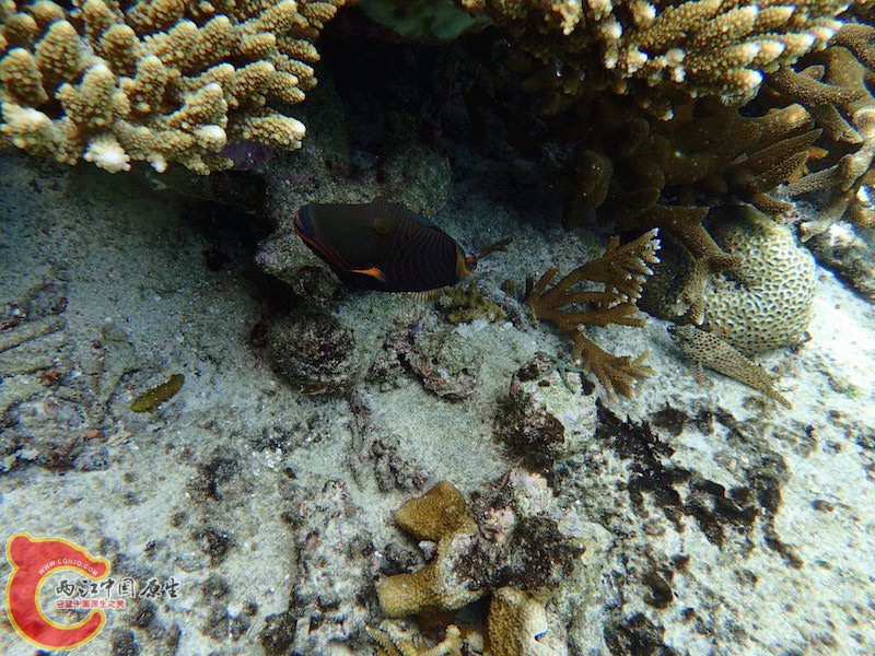 PA290541.JPG