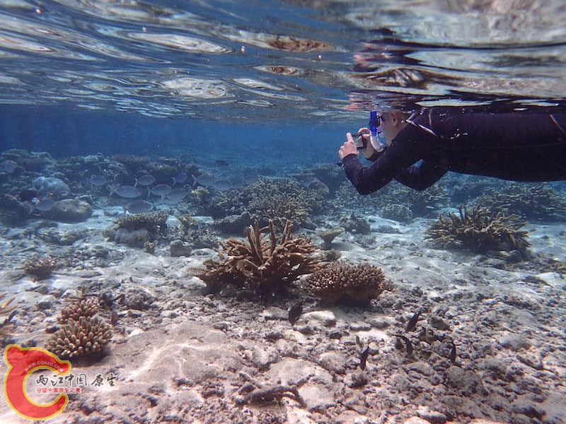 PA290555.JPG
