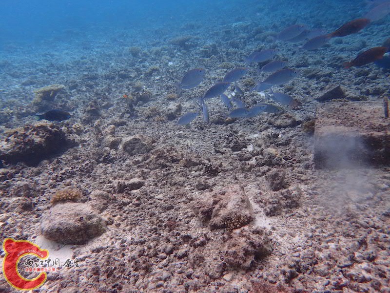 PA290558.JPG