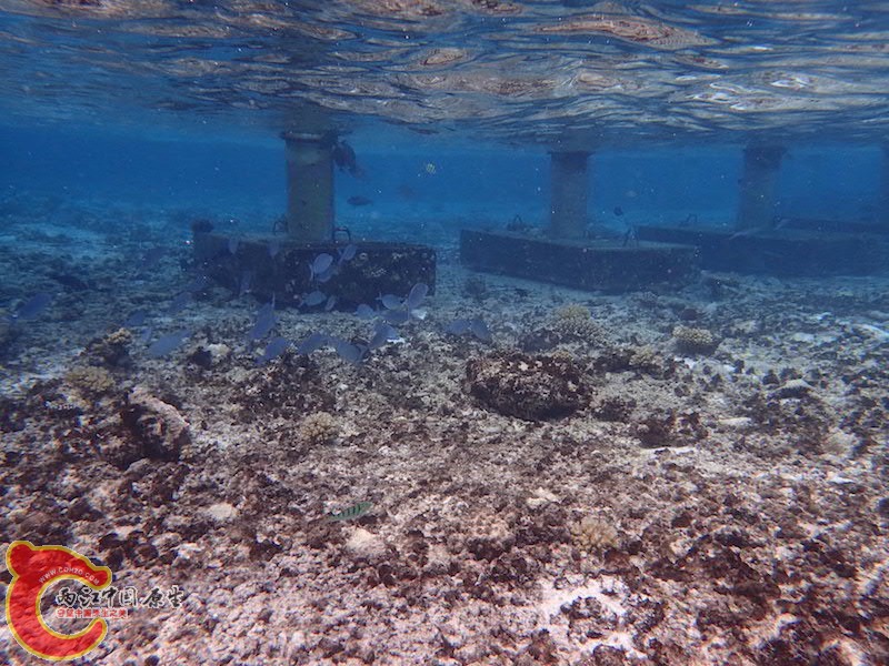 PA290568.JPG