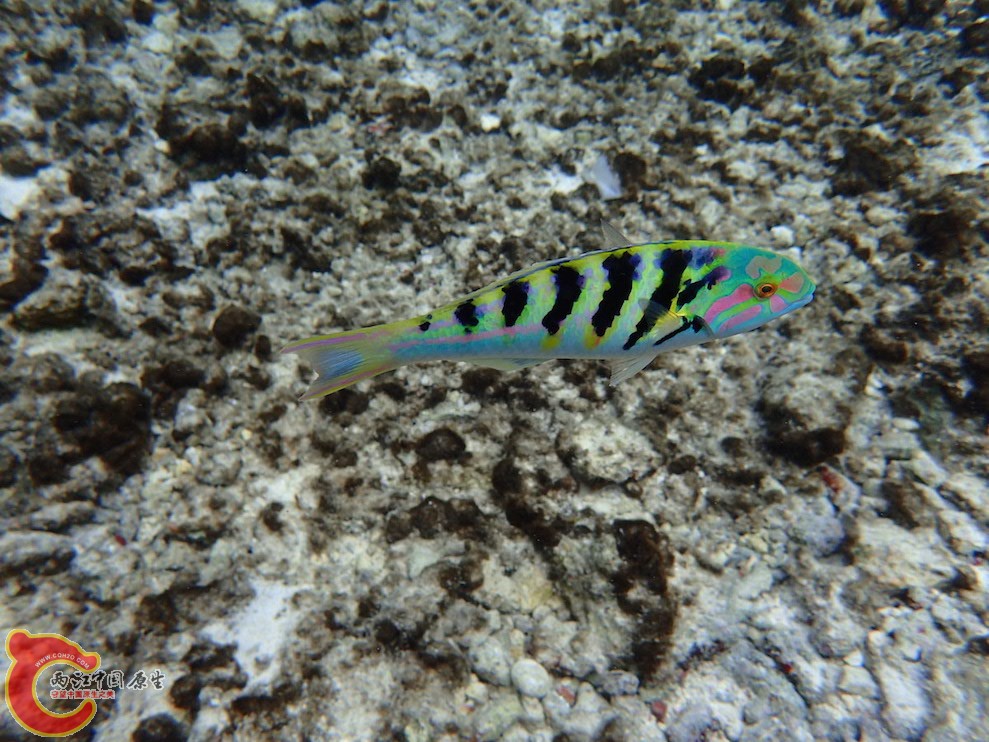 PA290579.JPG