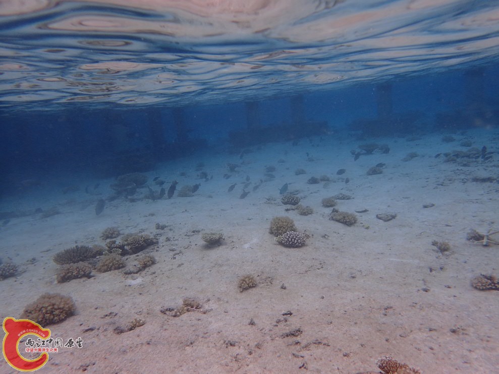 PA290589.JPG