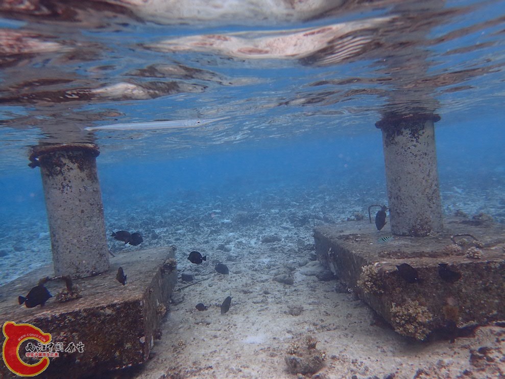 PA290596.JPG