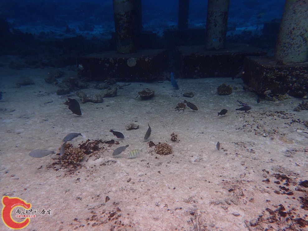 PA290605.JPG