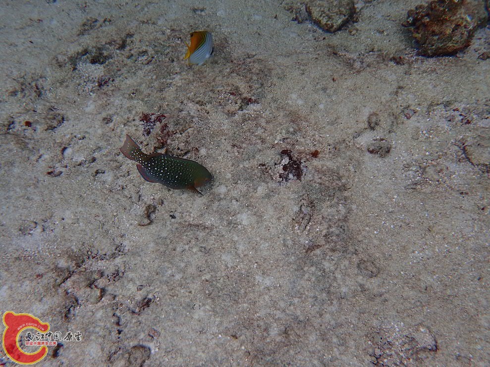 PA290609.JPG