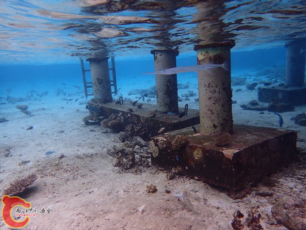 PA290618.JPG