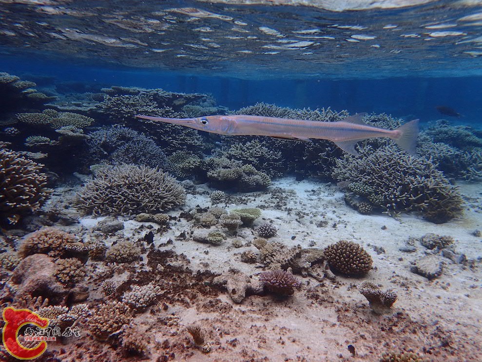 PA290622.JPG